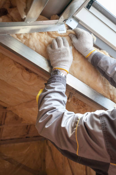 Best Insulation Inspection Services  in Arcola, TX