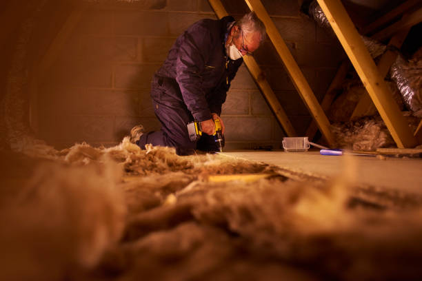 Best Insulation Repair Services  in Arcola, TX